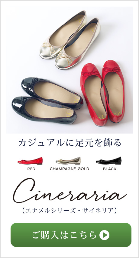 エナメルシリーズ・サイネリア