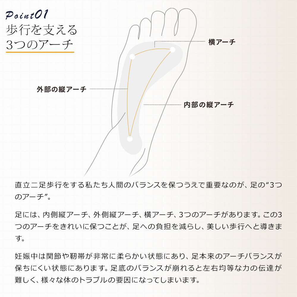 歩行を支える3つのアーチ